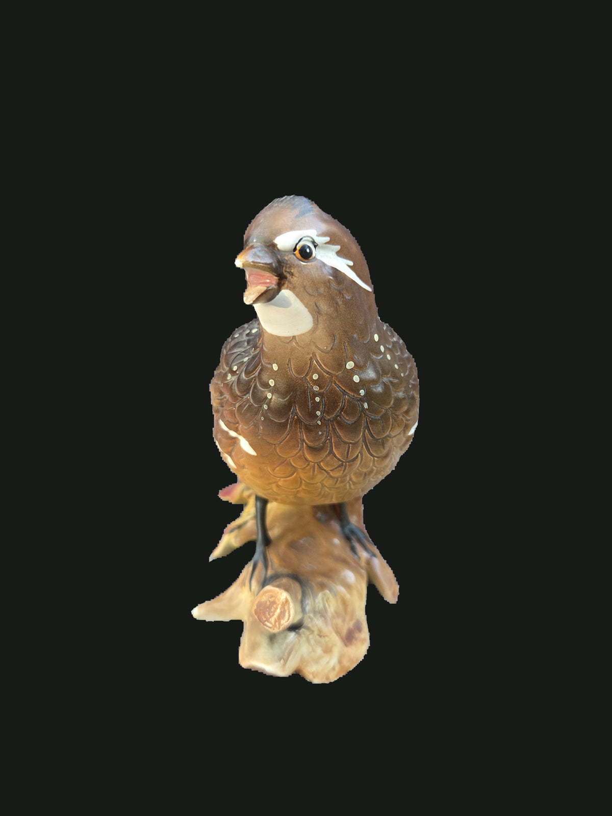 OGR-003 - OGR-003_1_Front_nobg.jpg