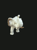 OGR-011 - OGR-011_1_Front_View_nobg.jpg